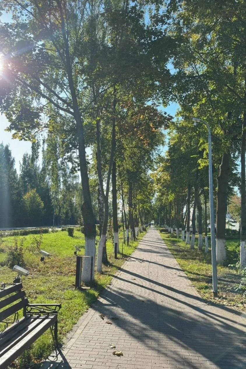 Доброе утро! Пусть свежесть утра, пение птиц и солнечный свет наполнят ваш день гармони...