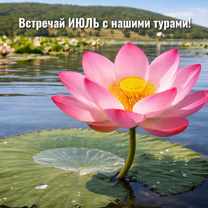 Встречай ИЮЛЬ с нашими турами!