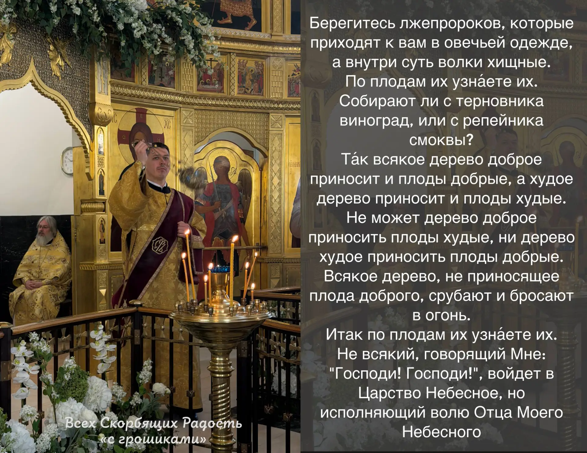 📖 Евангелие сегодняшнего дня Мф. 7:15-21                                                           