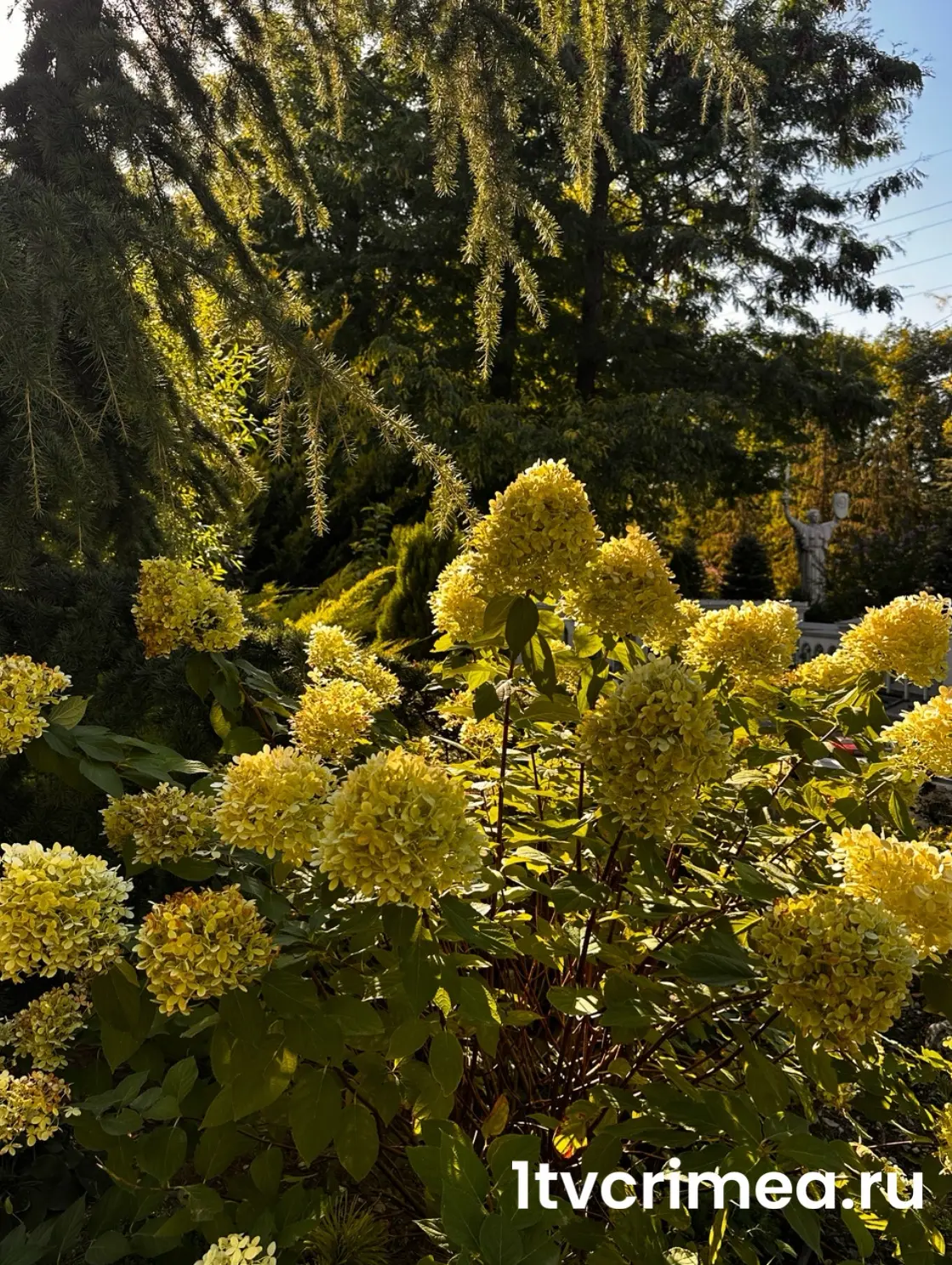 Доброе утречко 🍀