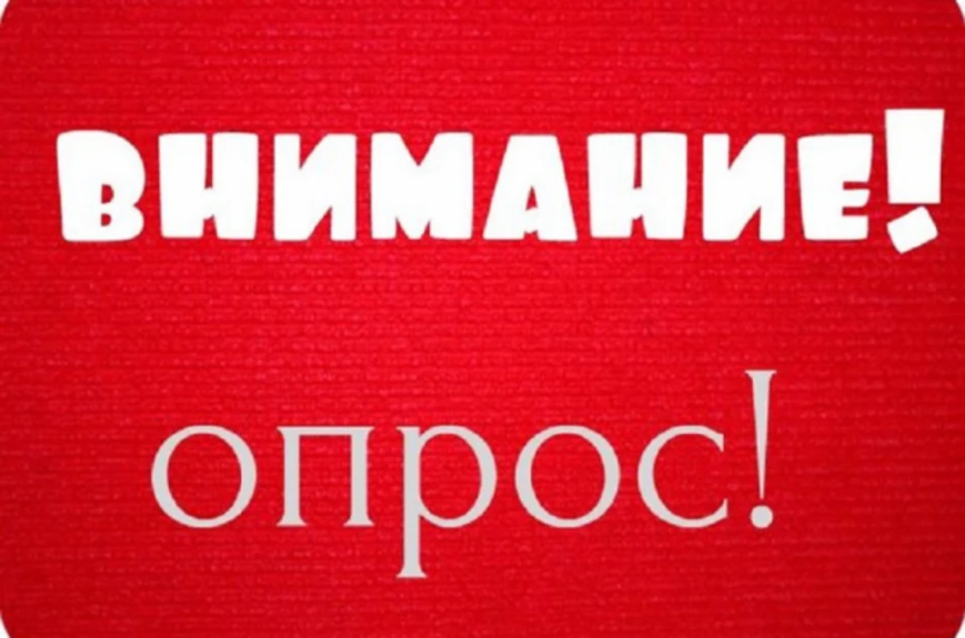 В преддверии Международного дня защиты детей (1 июня) Народный фронт проводит социологи...