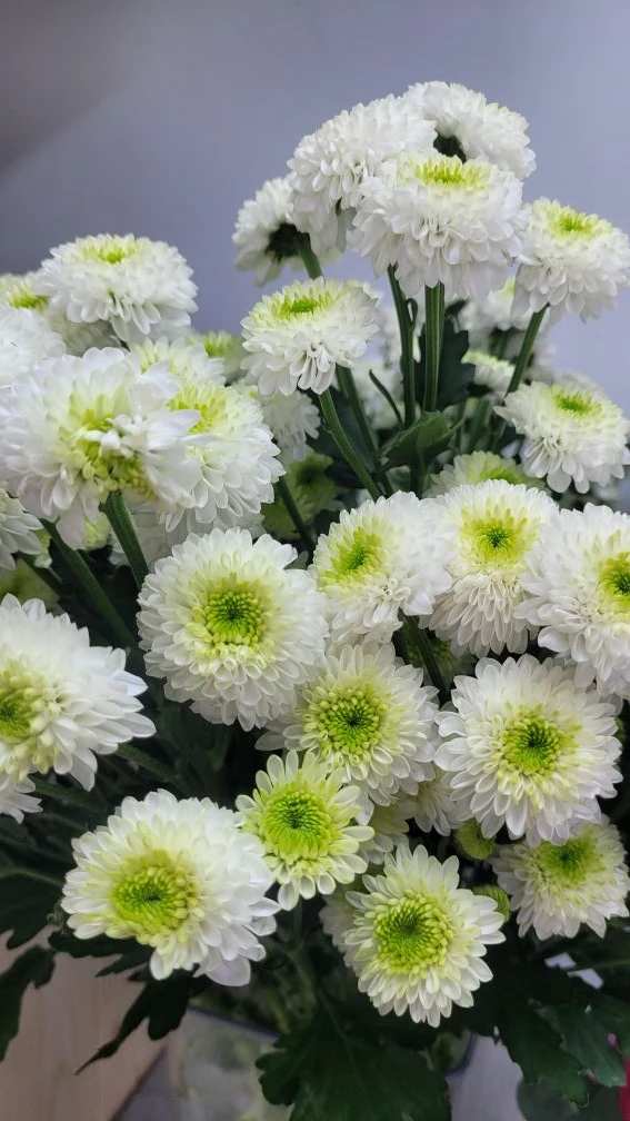 В наличии 💐