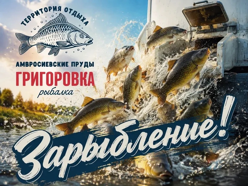 Отличные новости 🎣🔥