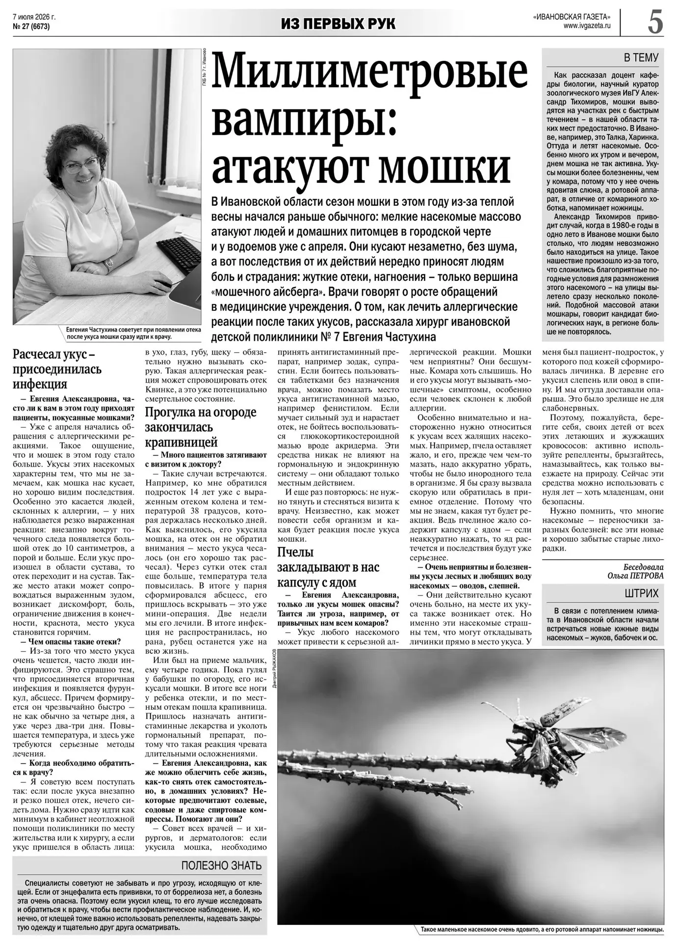 🦟 После укуса насекомого у ребенка может подняться температура, предупреждает врач-хирург Детской п