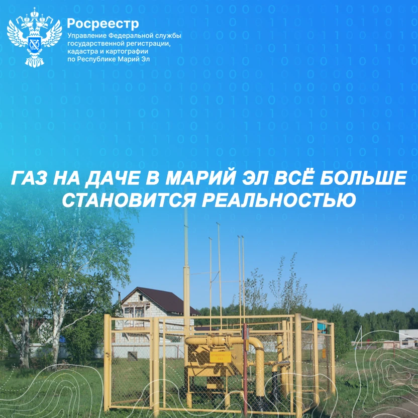 👋 Добрый день, уважаемые подписчики!