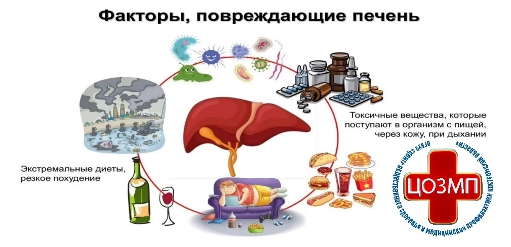 Неделя профилактики заболеваний печени

#ТелефонЗдоровья44