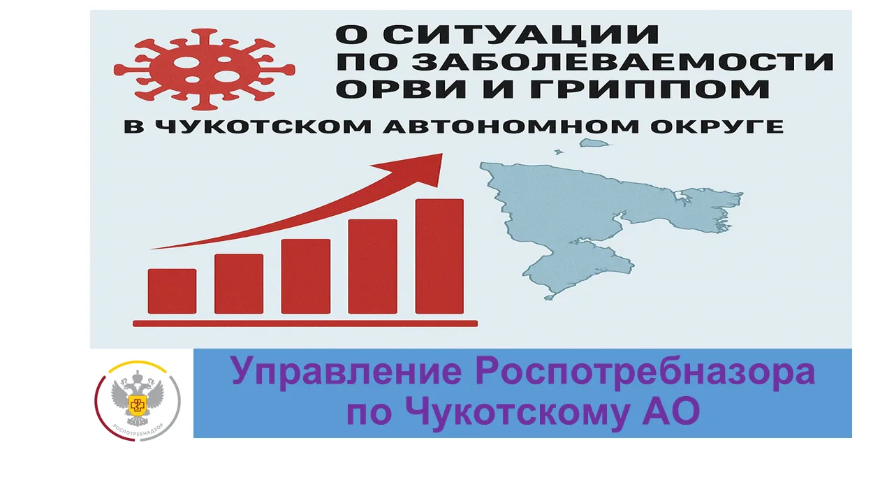 По Чукотскому автономному округу за 34 неделю 2026г. гриппом и ОРВИ заболело 84 чел., в...