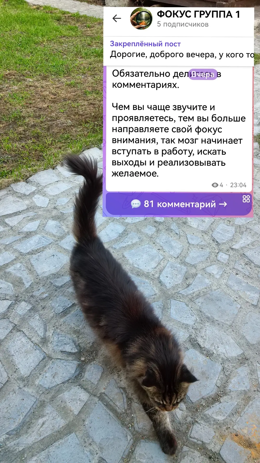 Сегодня весь день разбираюсь с темой отношения,  просто динамика в фокус группе...🔥