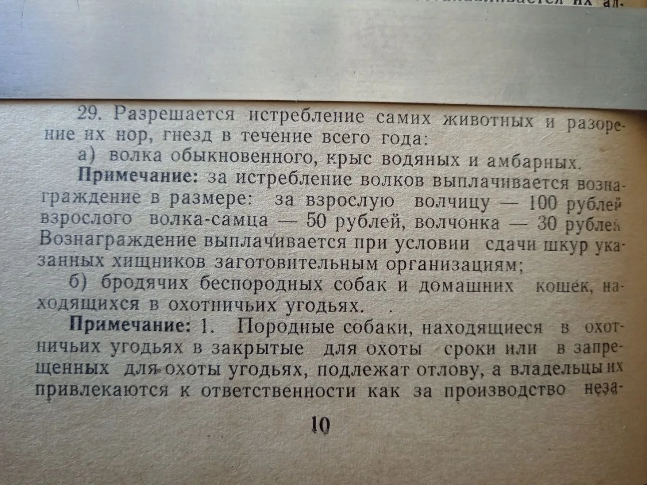 Знаете ли вы, что в СССР борьба с волками была настоящей государственной кампанией?