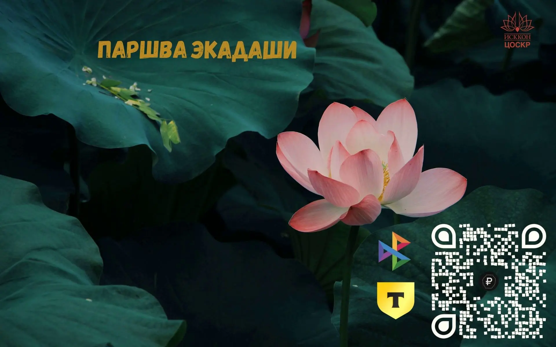 Харе Кришна, дорогие преданные! Традиционно в день Экадаши благодарим вас за неоценимый...