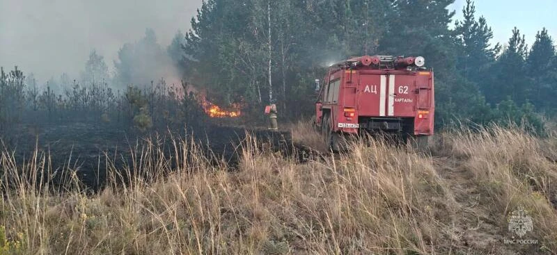 ❗️ Варну заволокло дымом: за поселком бушует пожар