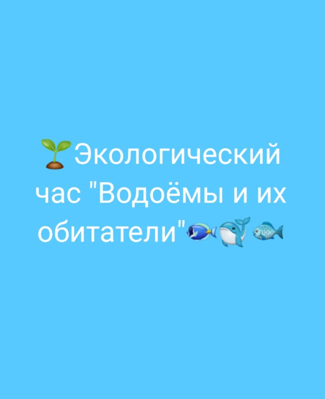 🌱Экологический час "Водоёмы и их обитатели"🐠🐋🐟

✅Беседа о водоемах и их жителях
✅Дидактическая и