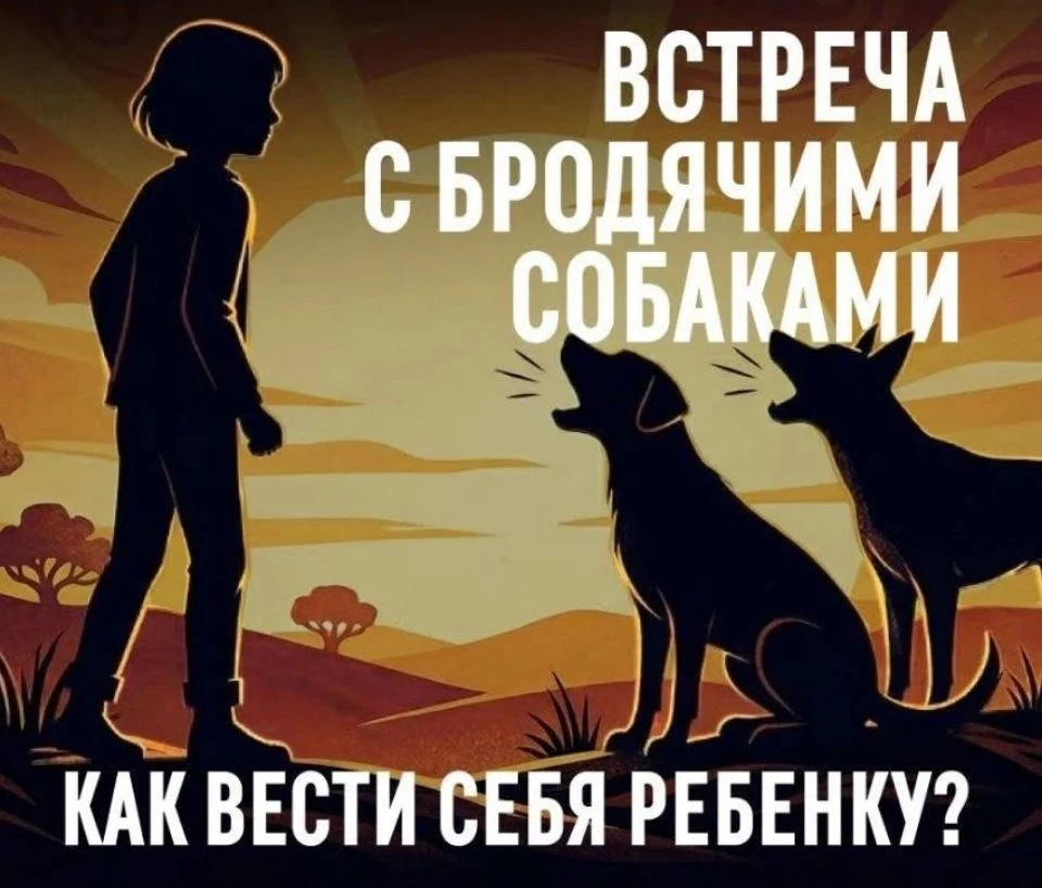 🐕 Обязательно проговорите с детьми алгоритм действий при встрече с агрессивной стаей: