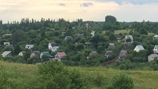 В Воронежской области председатель СНТ сам себе выплатил «премию» в 250 тысяч