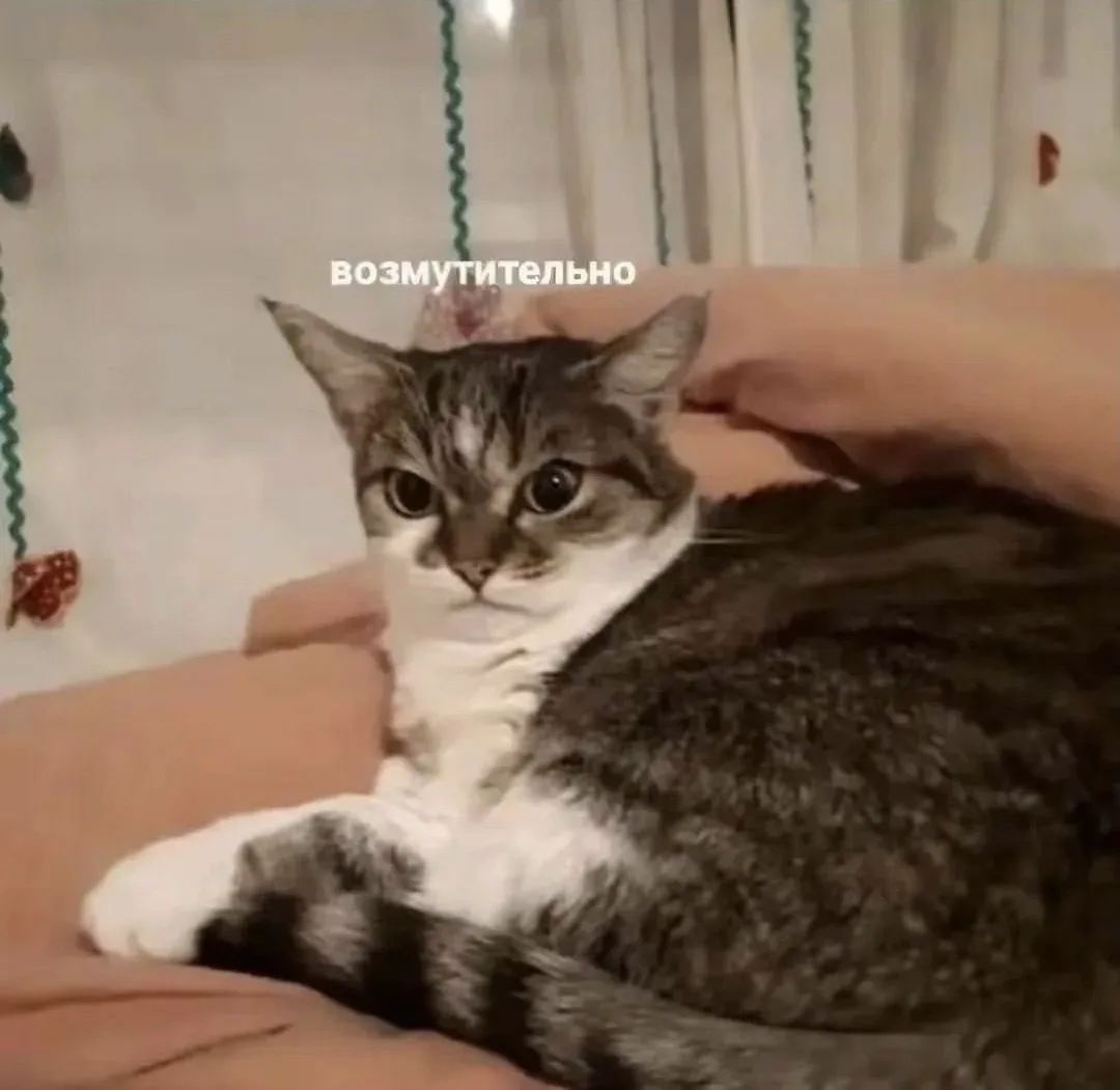 ВОСКРЕСНЫЙ МЕМ 🤗