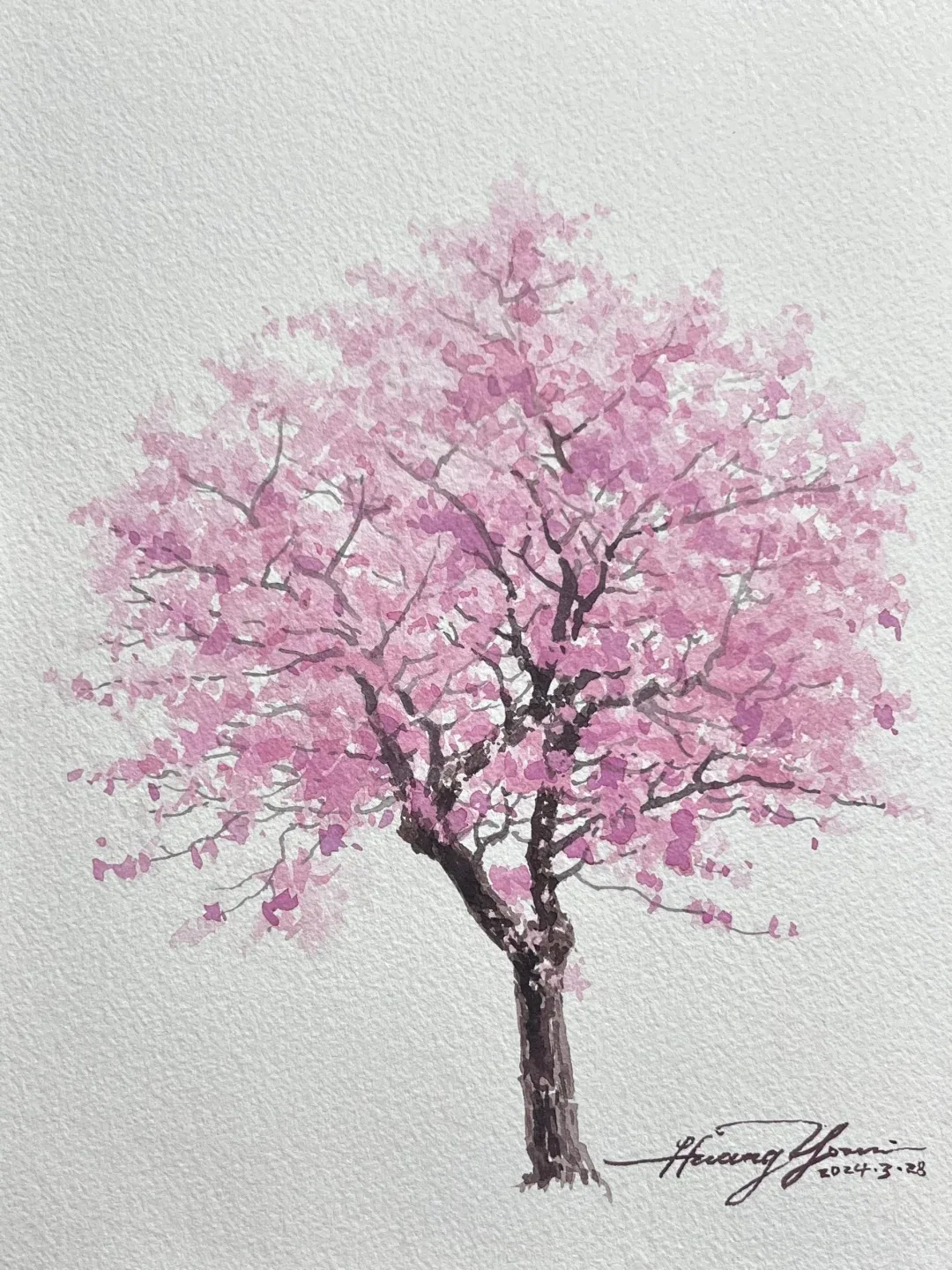 Художник 黄有维