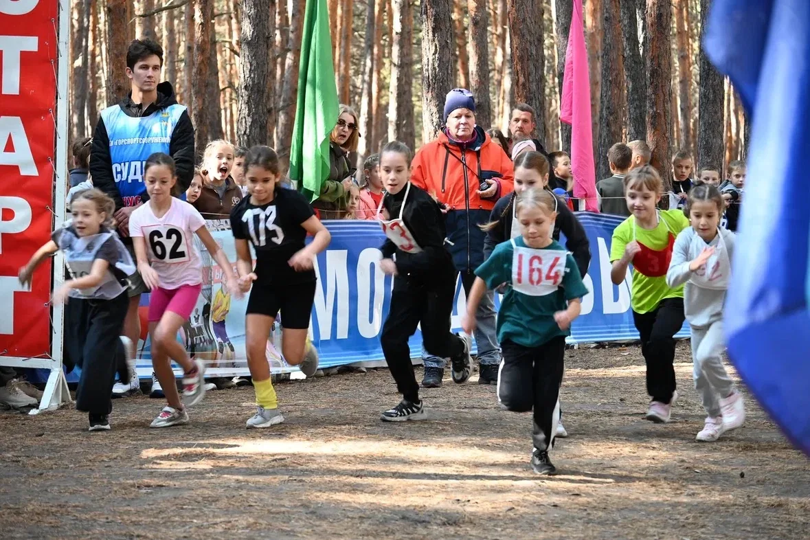 🏃‍♂️🍂 «КРОСС НАЦИИ – 2026»: Наши школьники покорили осенние трассы!🥇