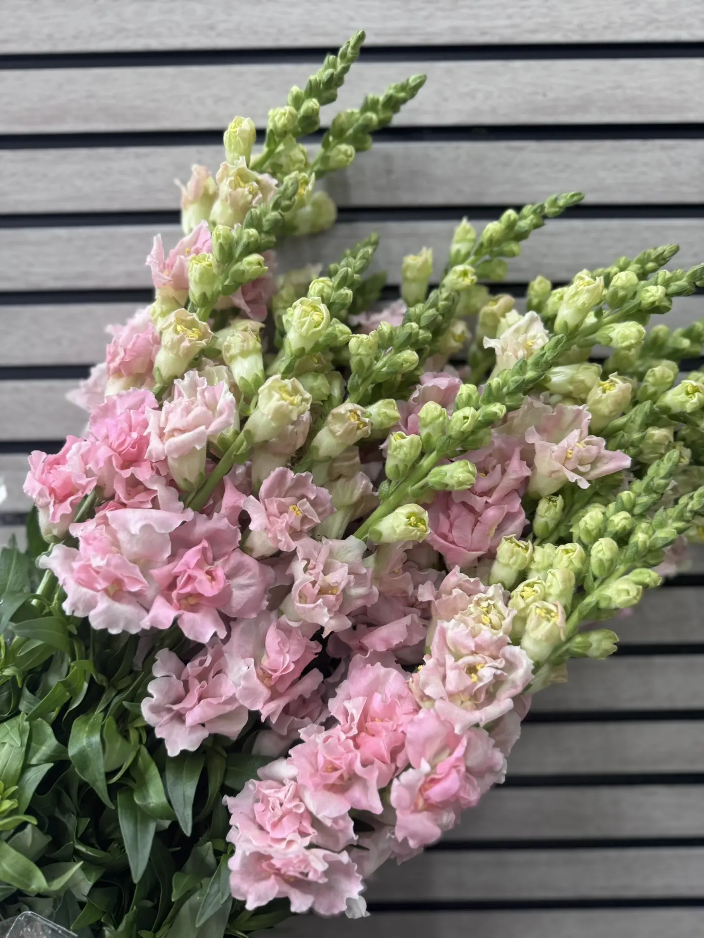 АНТИРРИНУМ PINK 🌸