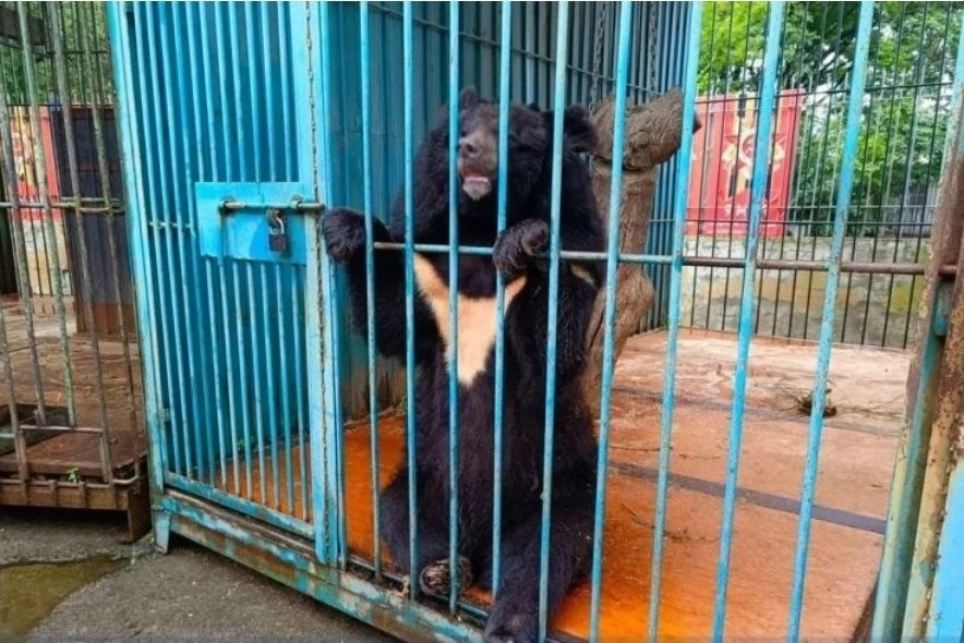 🛑Хроника происшествий.

В Приморье медведь откусил часть руки сотруднице зоопарка.

В зоопарке Прим