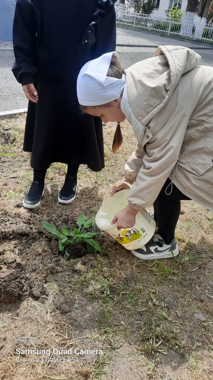 🌼 Весна — время преображений!  В МБОУ «Гой‑Чунская СОШ им. А. С. Алаудинова» прошла добрая акция «По