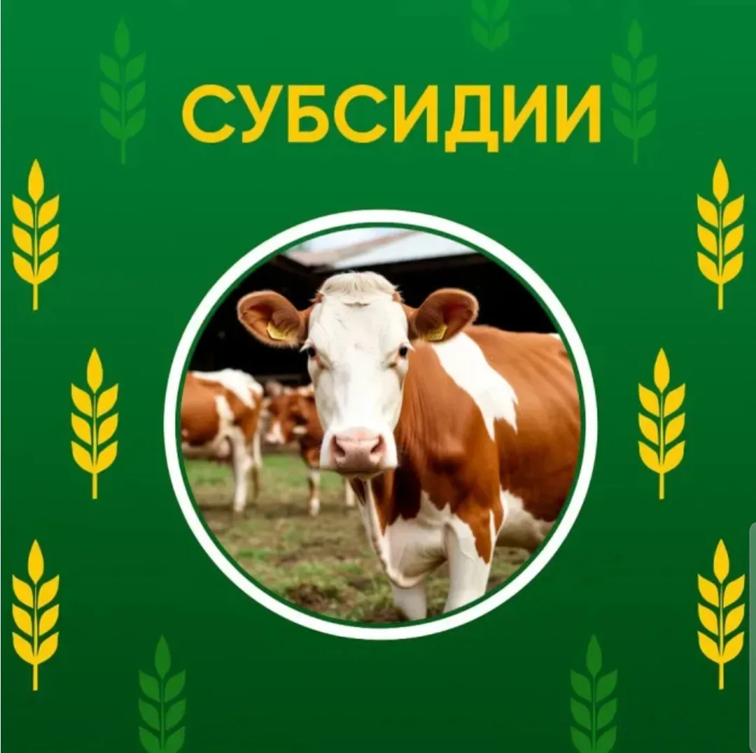 ❗️Вниманию граждан, ведущих личное подсобное хозяйство🐄!!!