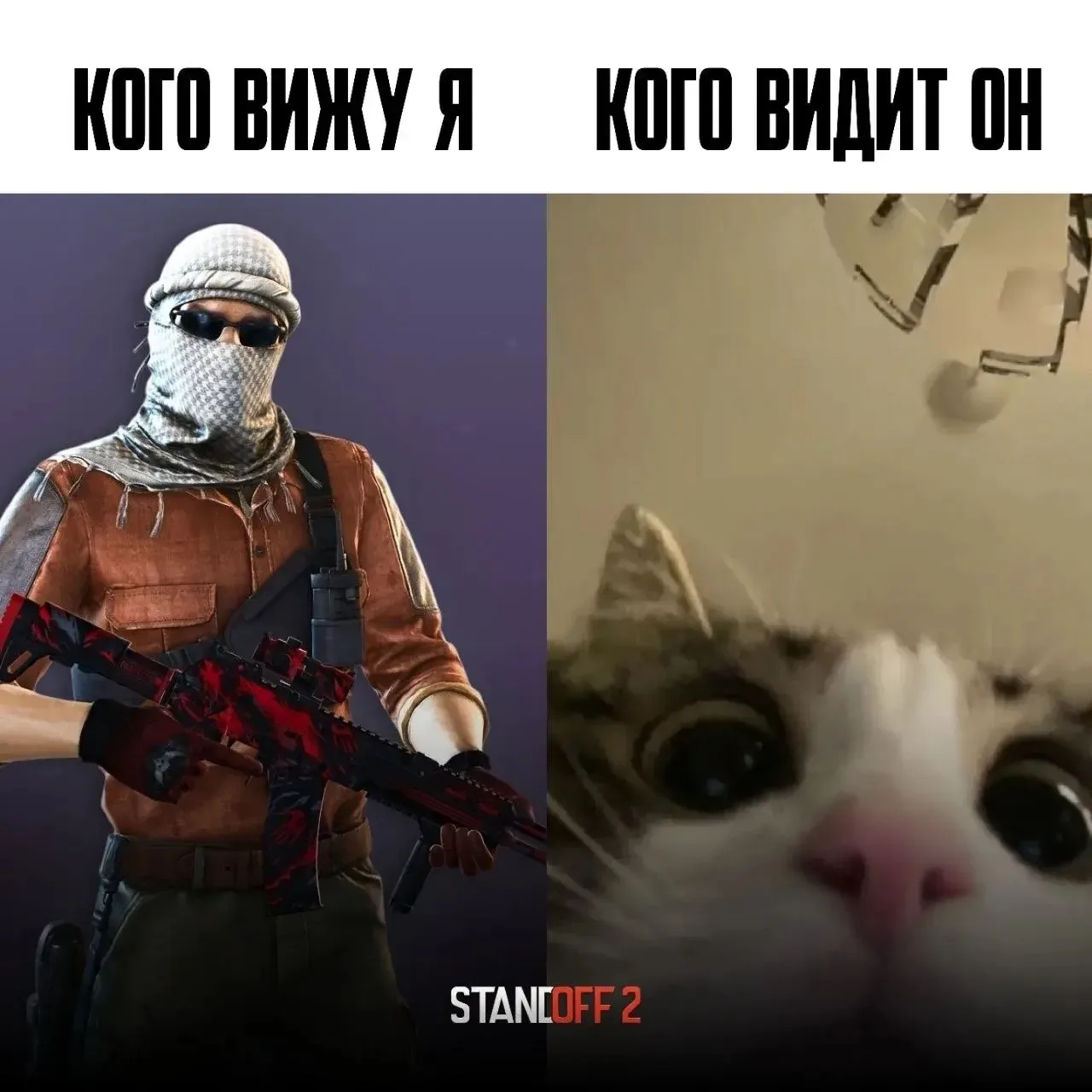 Жиза 😂