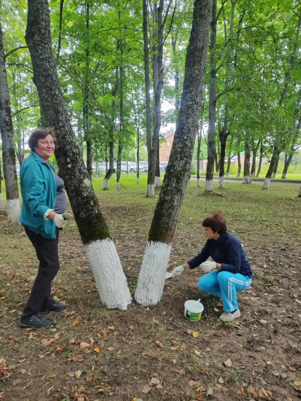 21 августа в нашей школе прошел замечательный субботник, во время которого мы ухаживали...