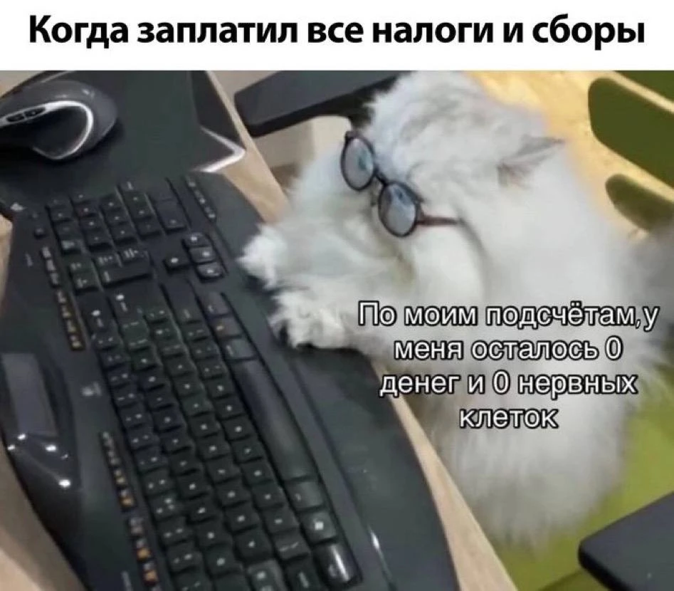 Мемный