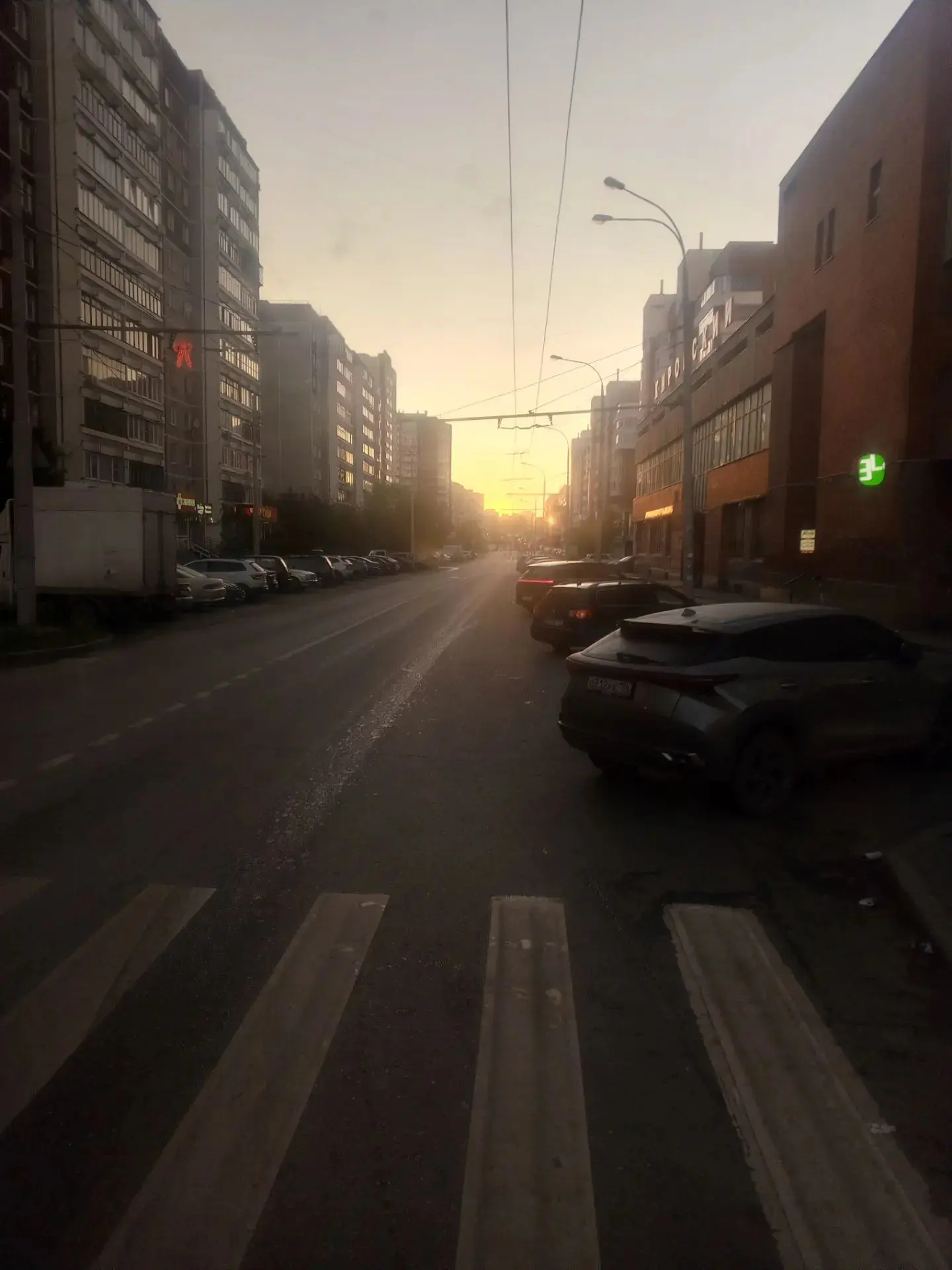 Ботаника в 7 утра