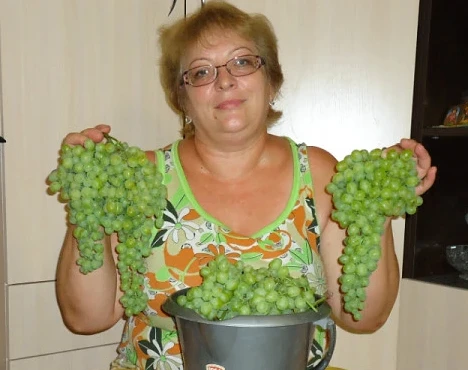 Белый халат. Смена окончена
⁣
Нина Викторовна Максимова, заведующая бактериологической лабораторией 