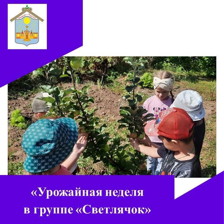 🧚В группе «Светлячок» прошла  тематическая неделя «Урожайная».  В течение   недели  ре...