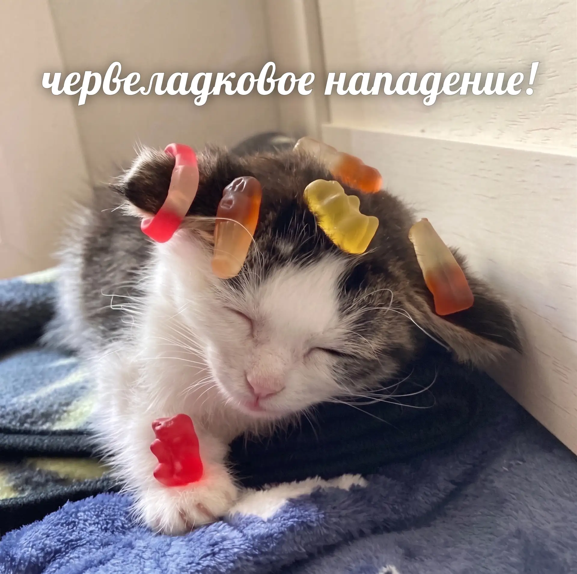 🚨 Срочная новость