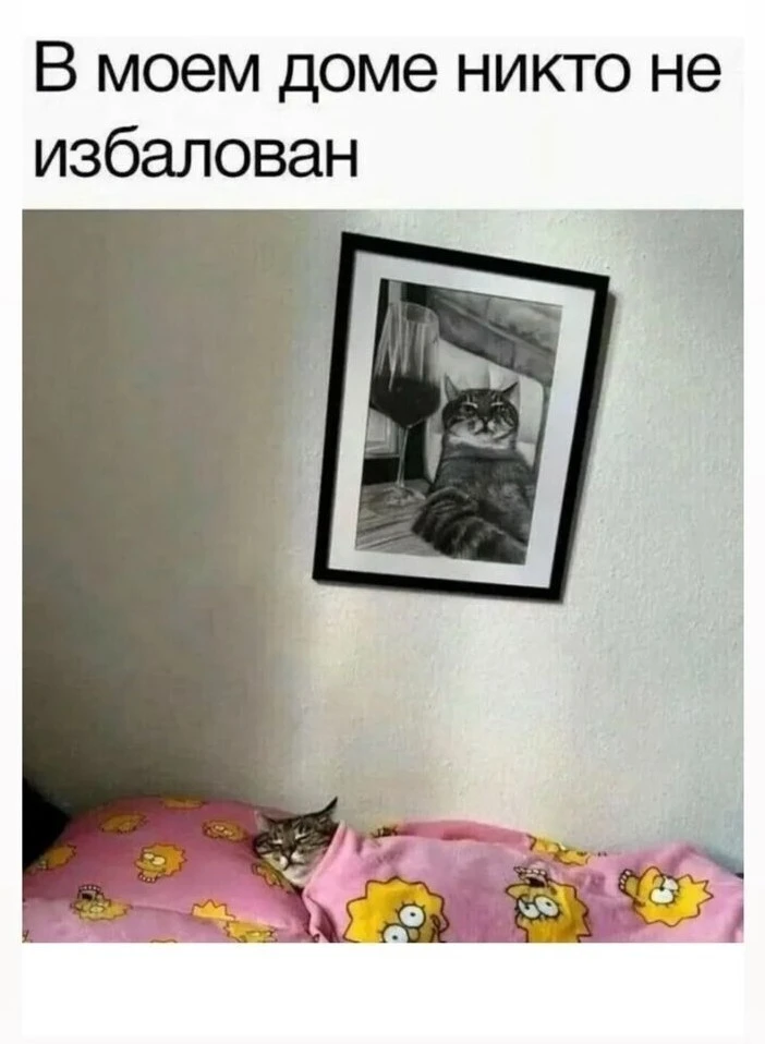 Кошки ж это боги)))