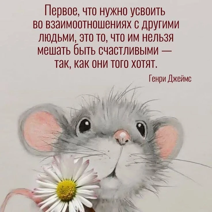 🌼Прикольные открытки