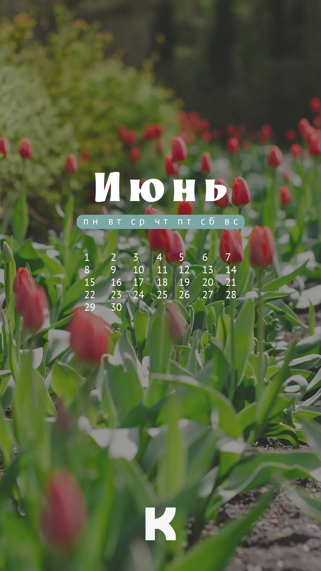 В первый день нового месяца традиционно делимся свежей подборкой календариков-заставок для ваших сма