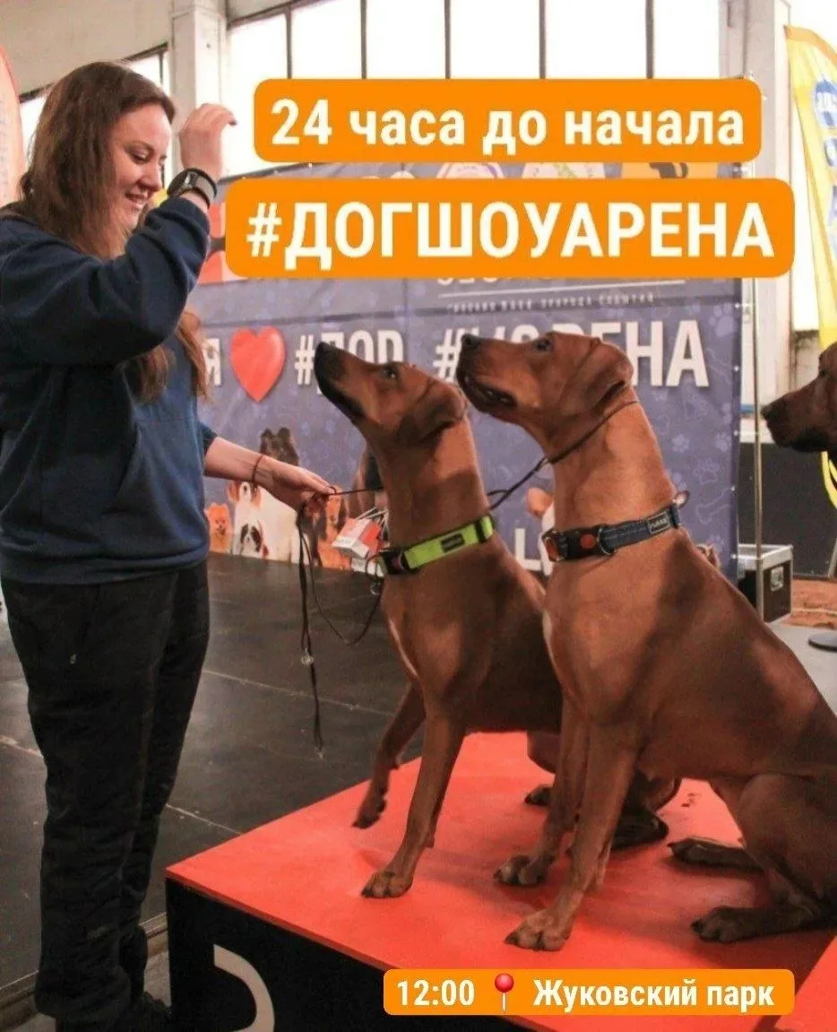 Доброе утро!