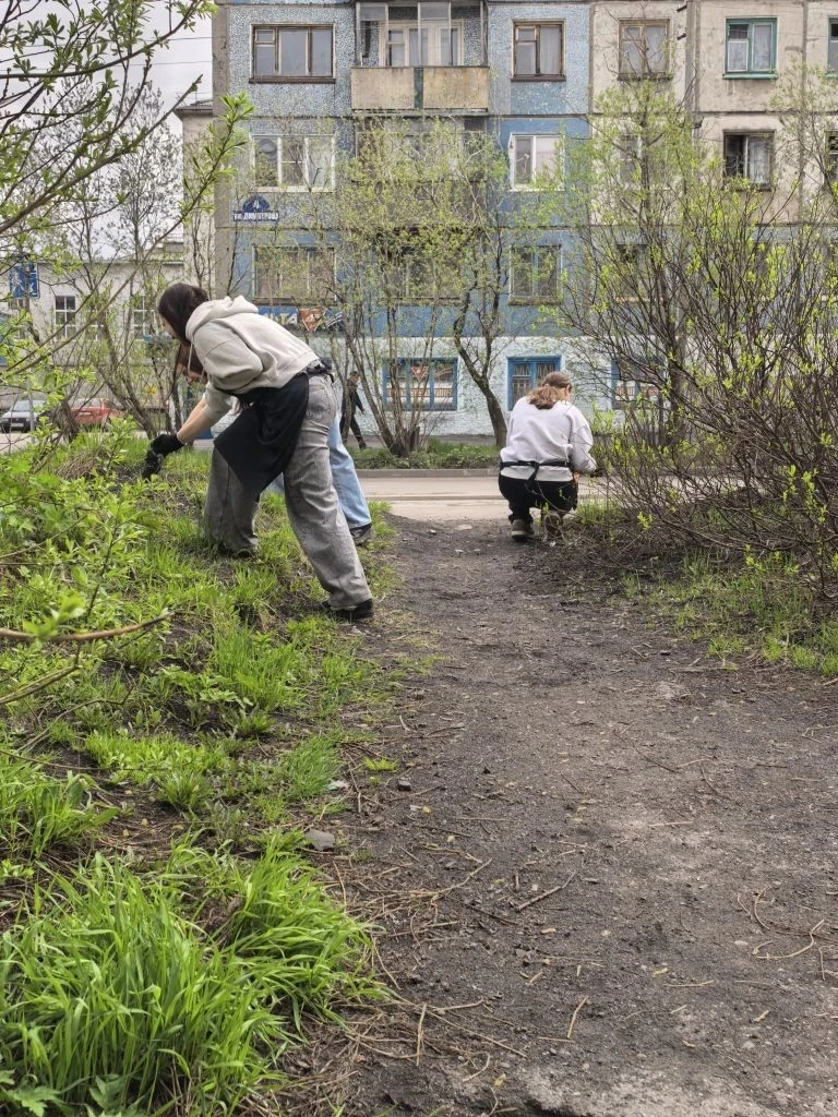 🧹Сегодня у "Трудяг" много задач, но мы точно с ними справимся - ведь мы - команда! 

🧹Грабли, мётл