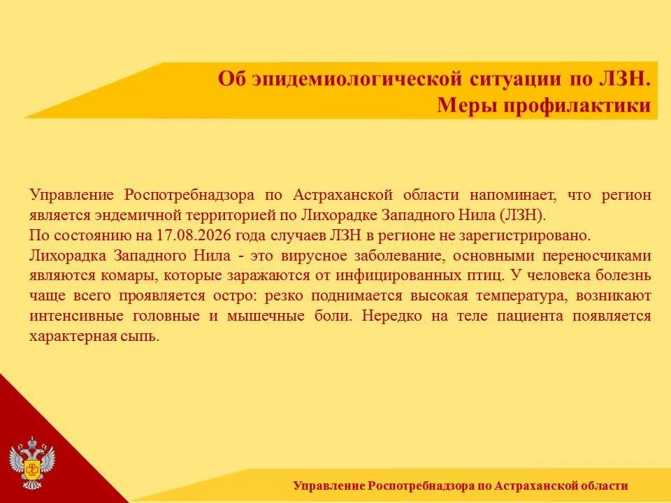 Основной путь передачи вируса — через укусы кровососущих насекомых, прежде всего комаро...