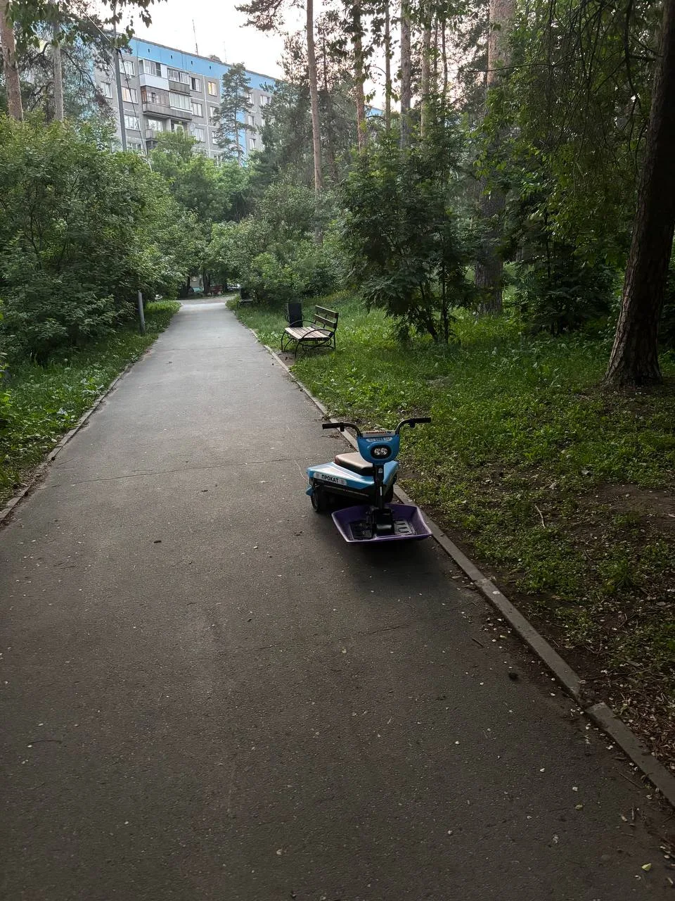 На улицах Новосибирска заметили необычный для лета транспорт — снегокаты 

Жители города заметили на