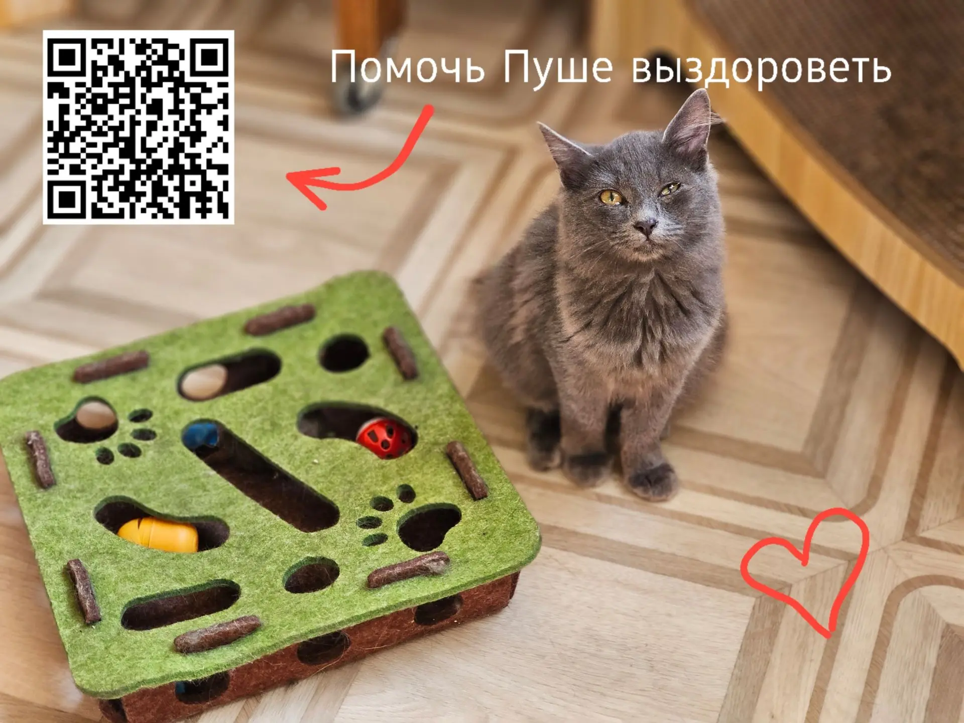 Заболела Пуша. Снова требуется фавирокс , юнидокс и глазные капли!
😭
Кто хочет помочь Пуше купить л