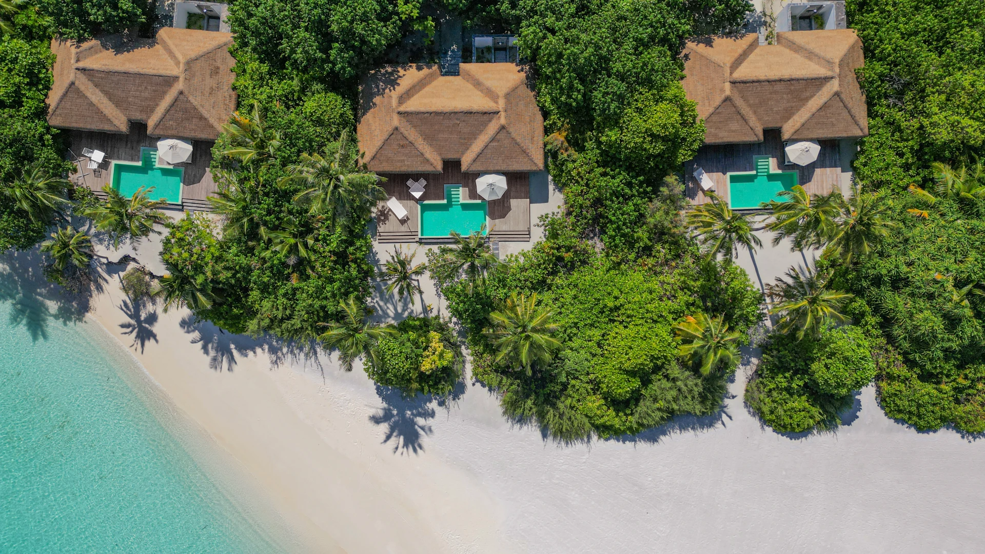 ⚡️ BB=AI: Noku Maldives 5*