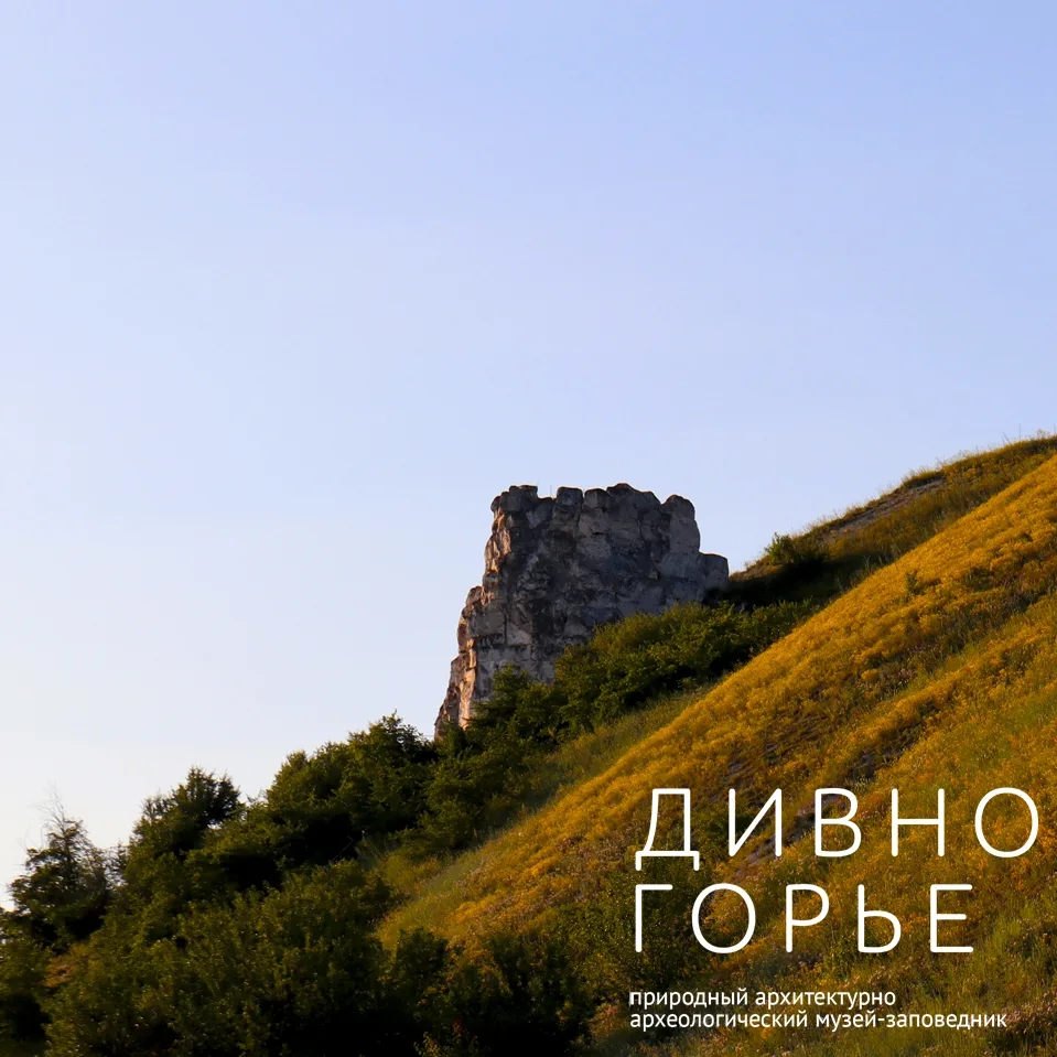 🌿 22 мая — международный день биологического разнообразия
