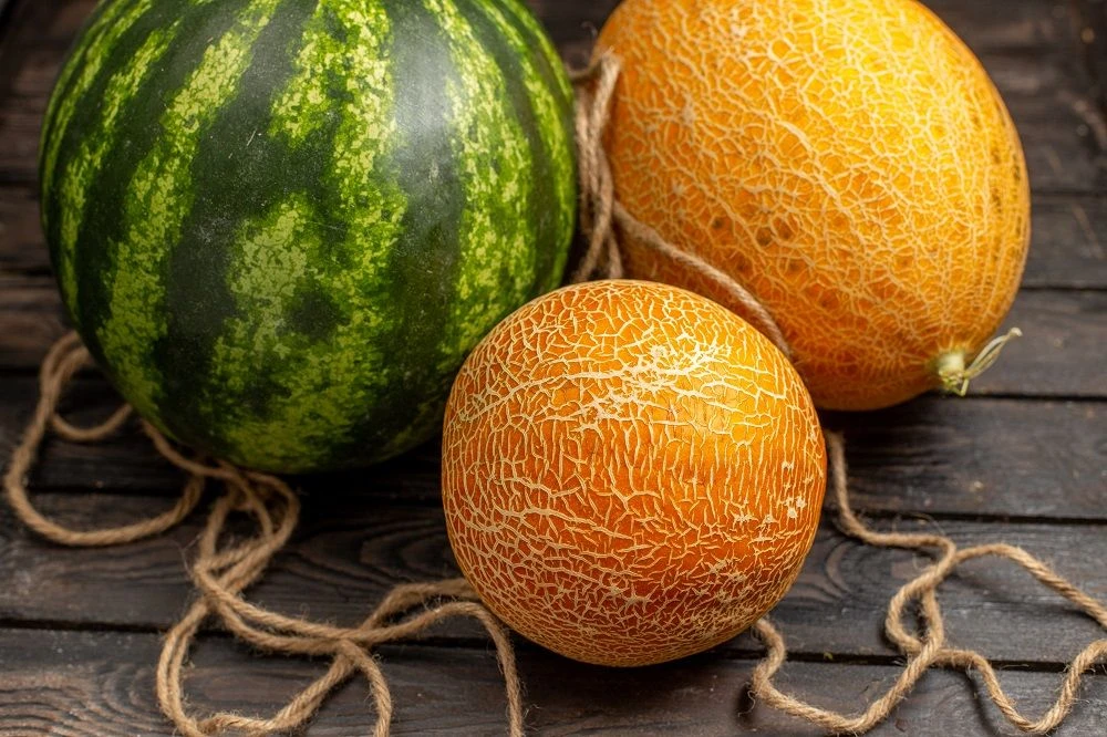 🍉 Правила покупки бахчевых

Арбузы являются богатым источником калия, магния, железа, фруктозы, стр
