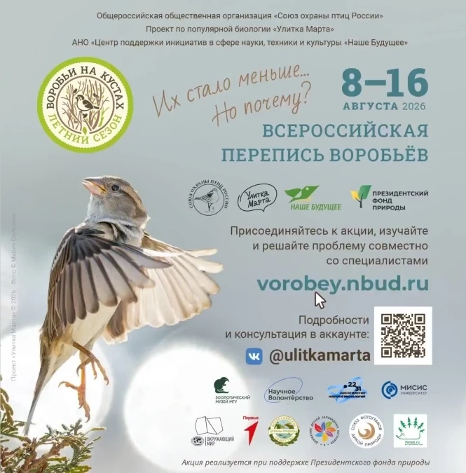 🐦‍⬛А нас в саду акция «Всероссийская перепись воробьёв»🐦‍⬛