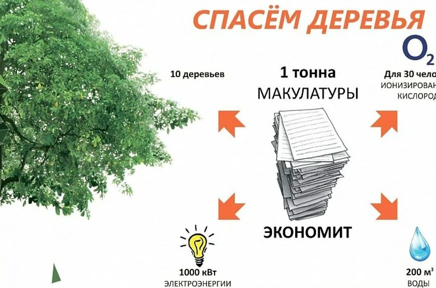 🌳 Принеси макулатуру — спаси дерево! 🌳Акция с 08.09.2026- 15.09.2026г.               ...