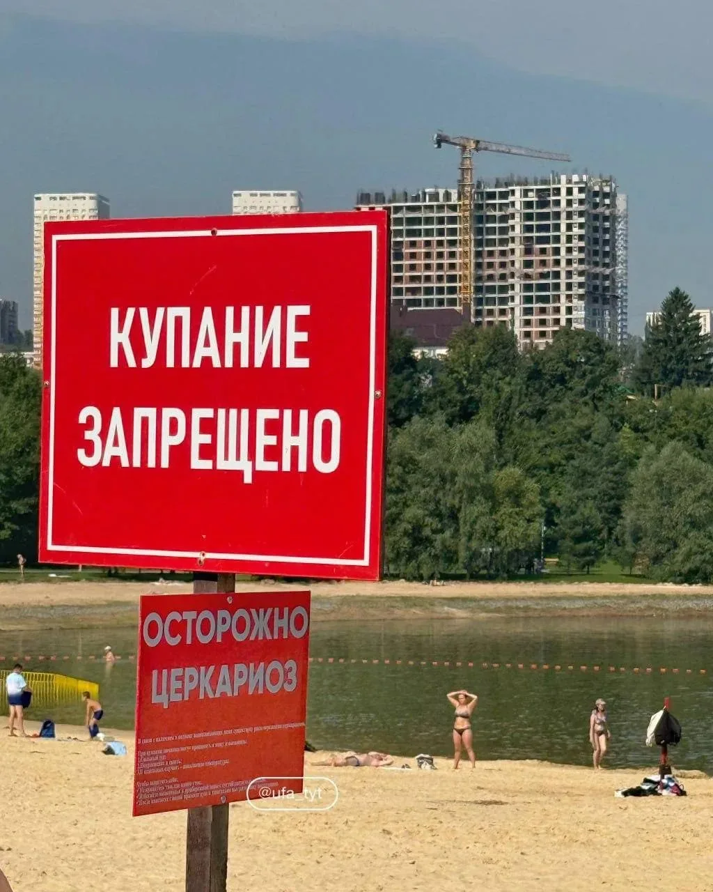 🦆 «Зуд купальщика»: на Кашкадане официально запретили купаться