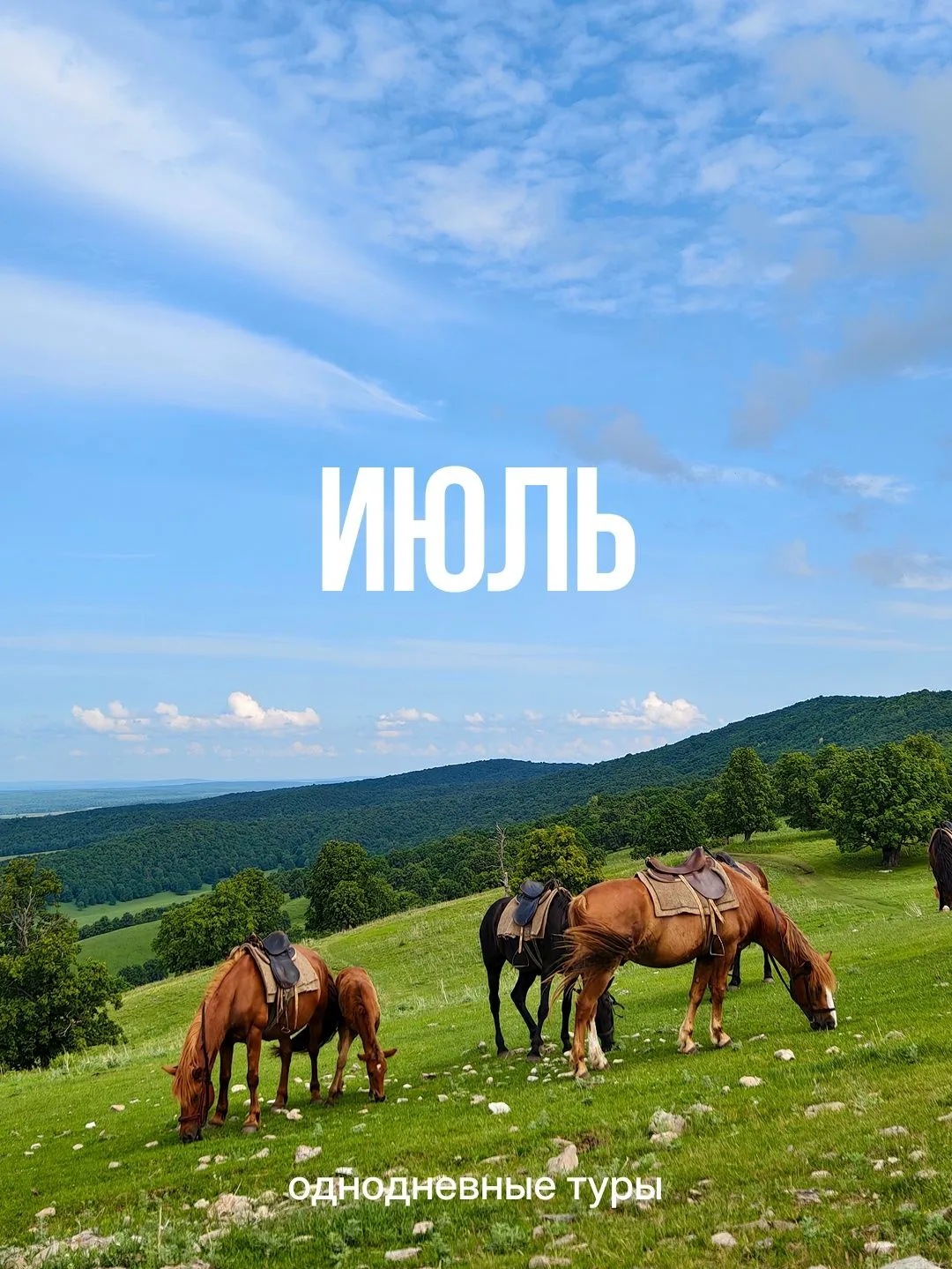 📌 Расписание однодневных туров