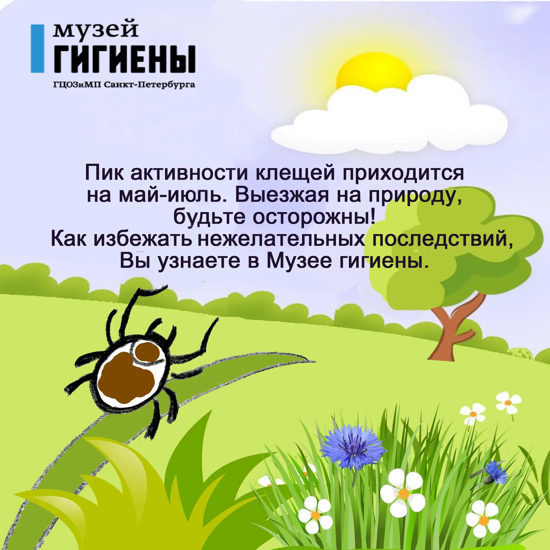 Все районы Ленинградской области являются эндемичными по клещевому вирусному энцефалиту...