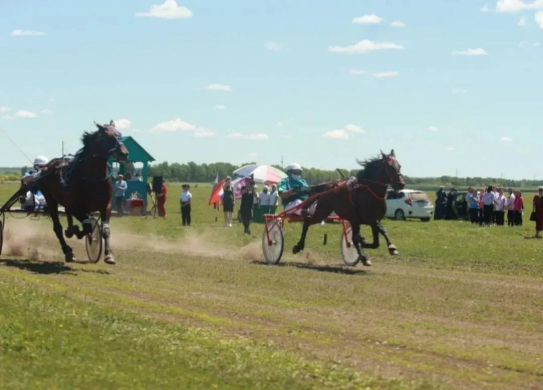🐎Конноспортивные соревнования проводятся на Дальневосточных гектарах Приамурья

Грандиозный праздни