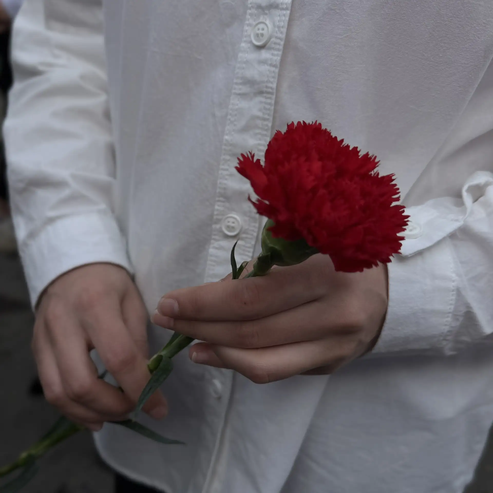 🎖️Нет в России семьи такой, где б не памятен был свой герой...  Сегодня наши учащиеся и педагоги ста